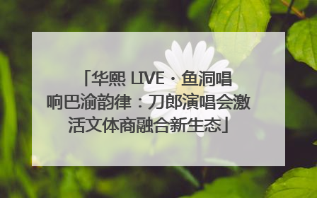 华熙 LIVE・鱼洞唱响巴渝韵律：刀郎演唱会激活文体商融合新生态