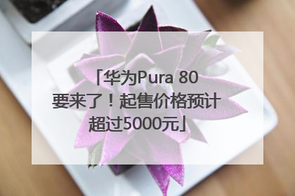 华为Pura 80要来了！起售价格预计超过5000元