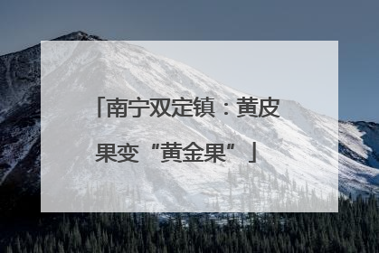 南宁双定镇：黄皮果变“黄金果”