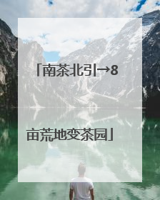 南茶北引→8亩荒地变茶园