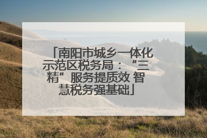 南阳市城乡一体化示范区税务局：“三精”服务提质效 智慧税务强基础