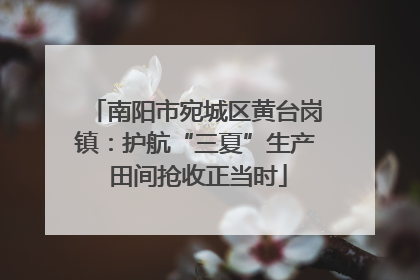 南阳市宛城区黄台岗镇：护航“三夏”生产 田间抢收正当时