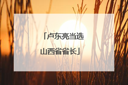 卢东亮当选山西省省长