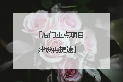 厦门重点项目建设再提速