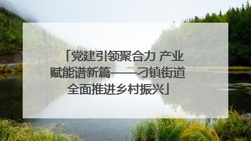 党建引领聚合力 产业赋能谱新篇——刁镇街道全面推进乡村振兴