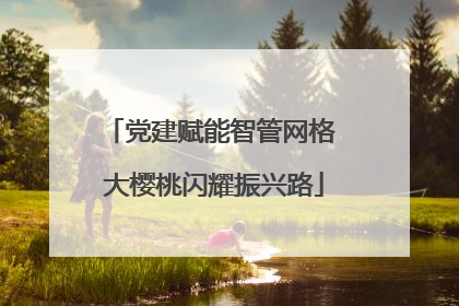 党建赋能智管网格 大樱桃闪耀振兴路