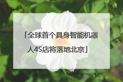 全球首个具身智能机器人4S店将落地北京