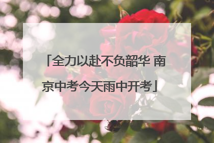 全力以赴不负韶华 南京中考今天雨中开考