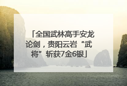 全国武林高手安龙论剑，贵阳云岩“武将”斩获7金6银