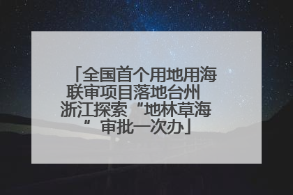 全国首个用地用海联审项目落地台州 浙江探索“地林草海”审批一次办