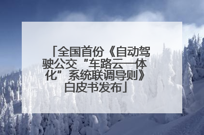 全国首份《自动驾驶公交“车路云一体化”系统联调导则》白皮书发布