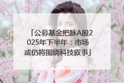 公募基金把脉A股2025年下半年：市场或仍将围绕科技叙事