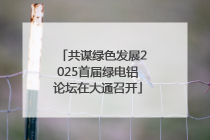 共谋绿色发展2025首届绿电铝论坛在大通召开