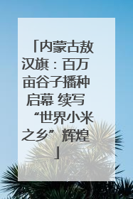 内蒙古敖汉旗：百万亩谷子播种启幕 续写“世界小米之乡”辉煌