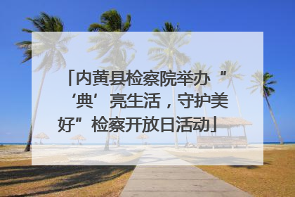内黄县检察院举办“‘典’亮生活，守护美好”检察开放日活动