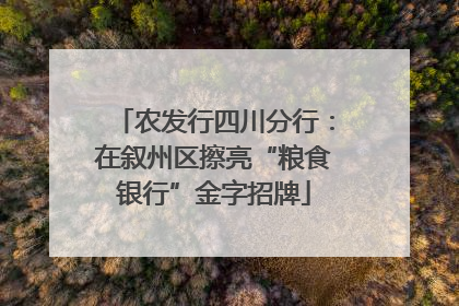 农发行四川分行：在叙州区擦亮“粮食银行”金字招牌