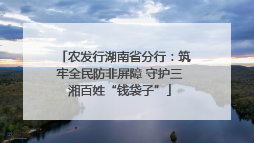 农发行湖南省分行：筑牢全民防非屏障 守护三湘百姓“钱袋子”
