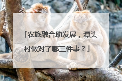 农旅融合助发展，潭头村做对了哪三件事？