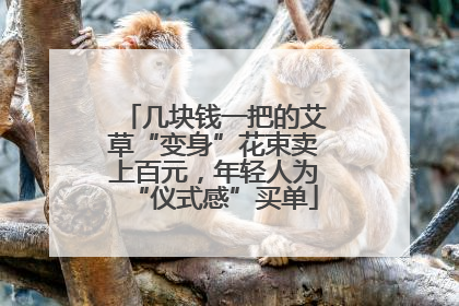 几块钱一把的艾草“变身”花束卖上百元，年轻人为“仪式感”买单