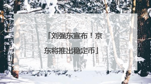 刘强东宣布！京东将推出稳定币