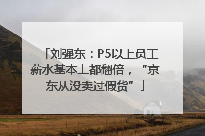 刘强东：P5以上员工薪水基本上都翻倍，“京东从没卖过假货”