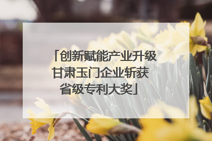 创新赋能产业升级 甘肃玉门企业斩获省级专利大奖