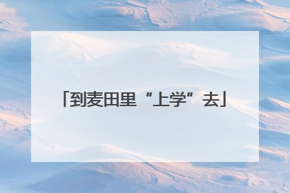到麦田里“上学”去