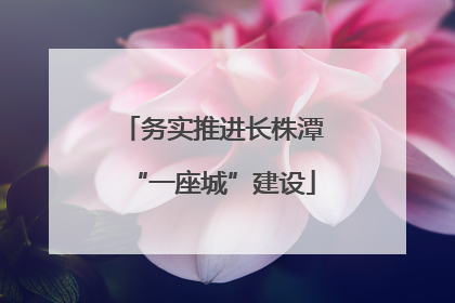 务实推进长株潭“一座城”建设