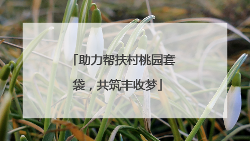 助力帮扶村桃园套袋，共筑丰收梦