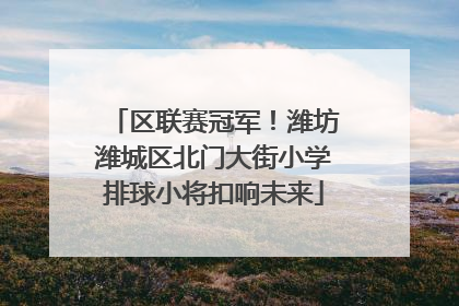 区联赛冠军！潍坊潍城区北门大街小学排球小将扣响未来