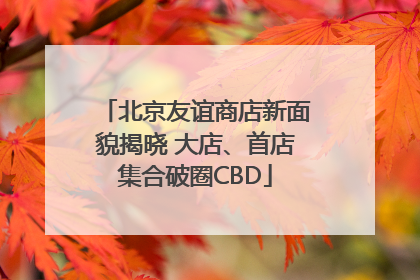 北京友谊商店新面貌揭晓 大店、首店集合破圈CBD