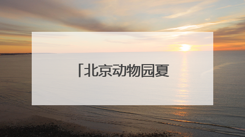 北京动物园夏日菜单丨动物食堂上新啦！