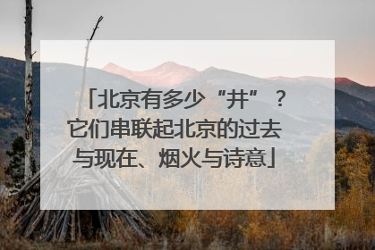 北京有多少“井”？它们串联起北京的过去与现在、烟火与诗意