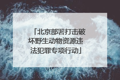 北京部署打击破坏野生动物资源违法犯罪专项行动