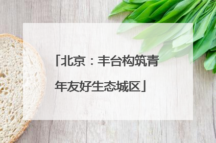 北京：丰台构筑青年友好生态城区