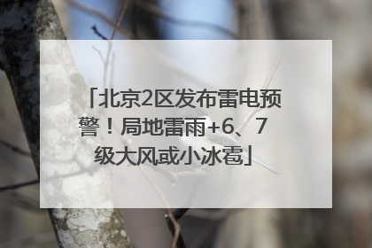 北京2区发布雷电预警！局地雷雨+6、7级大风或小冰雹