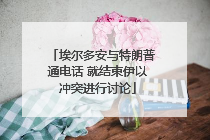 埃尔多安与特朗普通电话 就结束伊以冲突进行讨论