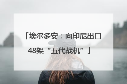 埃尔多安：向印尼出口48架“五代战机”