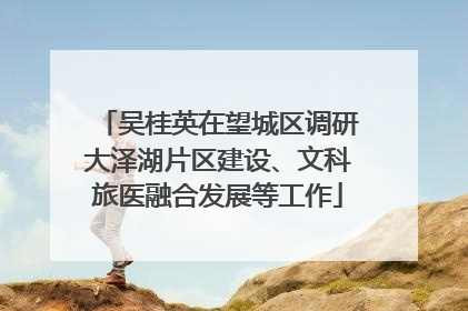 吴桂英在望城区调研大泽湖片区建设、文科旅医融合发展等工作