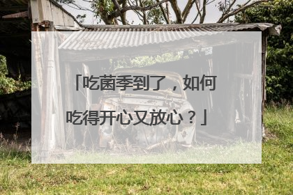吃菌季到了，如何吃得开心又放心？