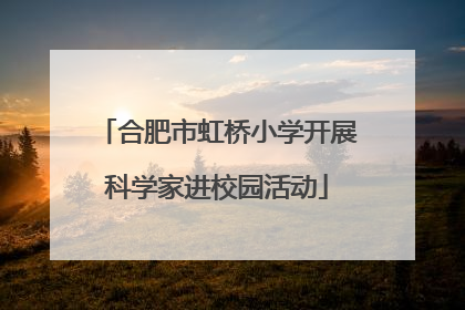 合肥市虹桥小学开展科学家进校园活动
