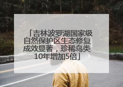 吉林波罗湖国家级自然保护区生态修复成效显著，珍稀鸟类10年增加5倍