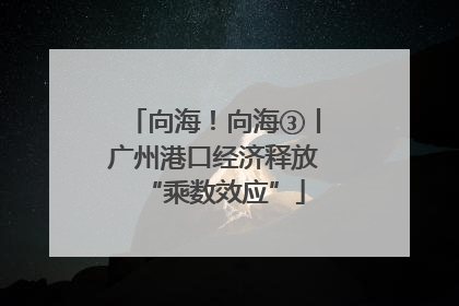 向海！向海③丨广州港口经济释放“乘数效应”