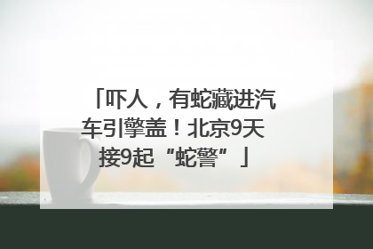 吓人，有蛇藏进汽车引擎盖！北京9天接9起“蛇警”