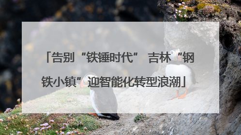 告别“铁锤时代” 吉林“钢铁小镇”迎智能化转型浪潮