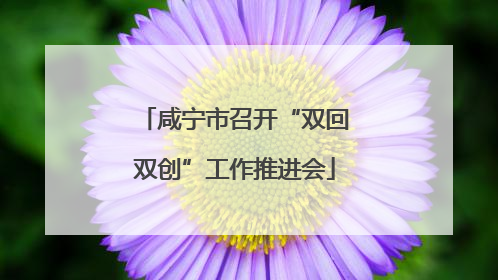咸宁市召开“双回双创”工作推进会