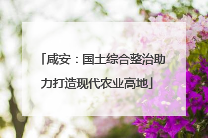 咸安：国土综合整治助力打造现代农业高地