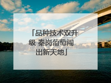 品种技术双升级 秦岗葡萄闯出新天地