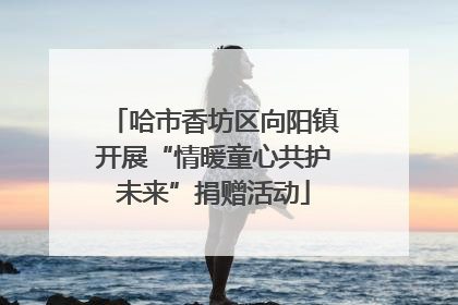 哈市香坊区向阳镇开展“情暖童心共护未来”捐赠活动