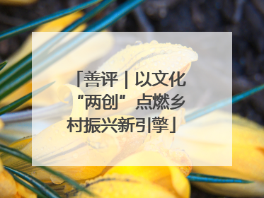 善评｜以文化“两创”点燃乡村振兴新引擎